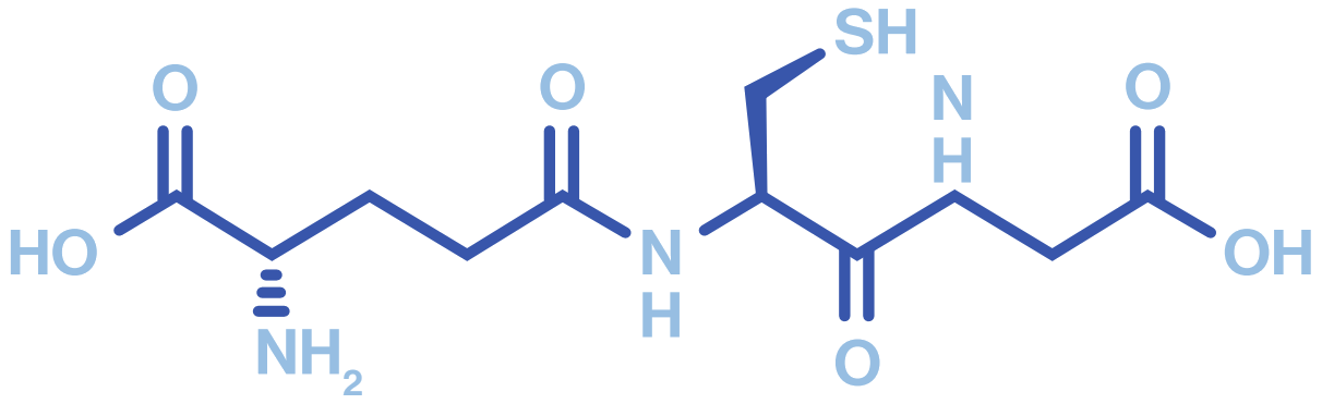 Ilustración de molécula de glutatión, antioxidante